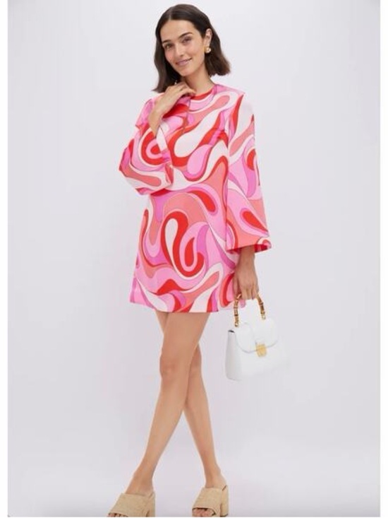 Hyacinth House Dresses & Skirts - NWT Hyacinth House mod Geo Mitzi Pinj Dress